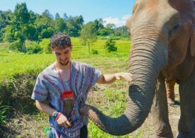 I was blinded by dangerous trend in Brit holiday hotspot… while my family hid friends’ horror deaths from me in hospital