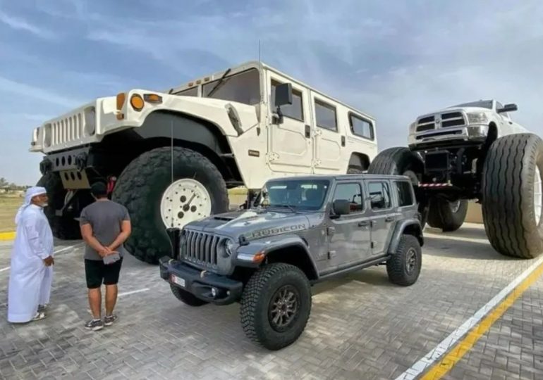 The sprawling billionaire empire of Sheikh offering disgraced Andrew a palace – with superyacht so big you can play GOLF