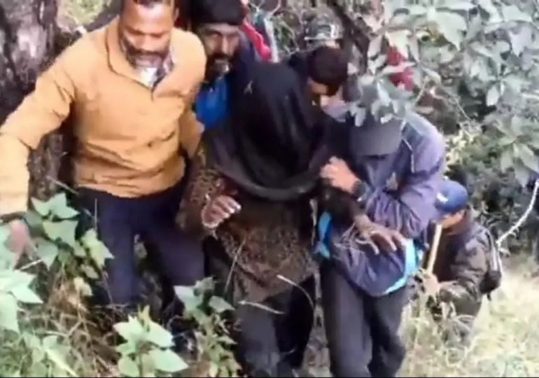 Missing woman, 50, found with her face ripped off after savage bear attack as rescuers heard cries for help in the woods