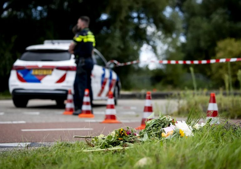 Chilling mystery of asylum seeker accused of raping and murdering teen Lisa – from fake name to how he got into country