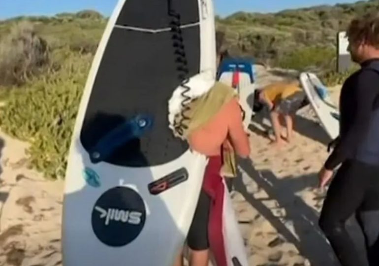 Shocking moment great white shark drags surfer beneath the waves taking chunk out of his board in terrifying attack