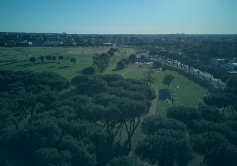 Calls for sex attack migrants to be chemically castrated after up to 5 forced man to watch them gang-rape teen fiancee