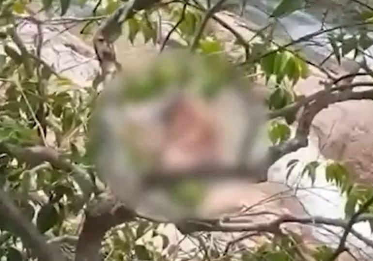 Shocking moment tourist couple are caught romping in broad daylight at waterfall beauty spot on Thai holiday island