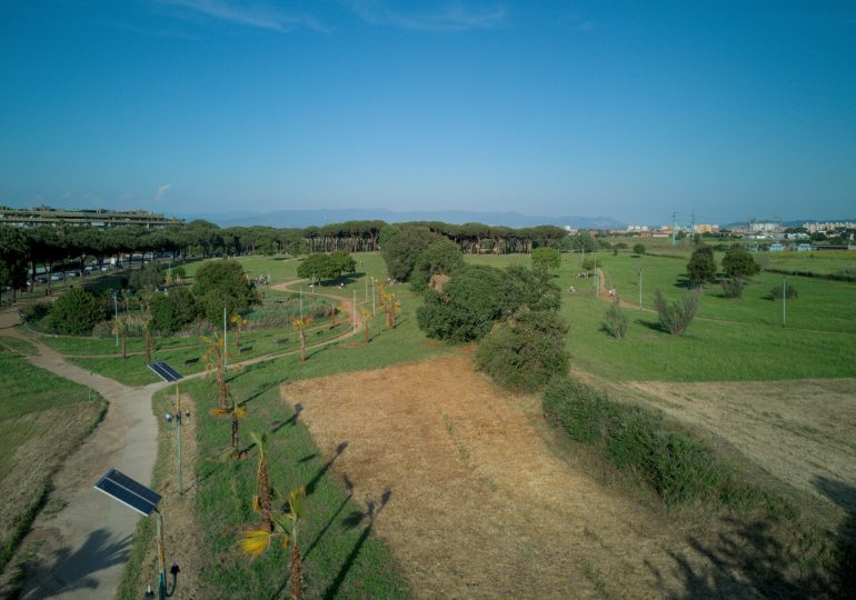 Migrant dyes his hair blond to disguise himself after fleeing horror park where teen was gang-raped in front of fiancé