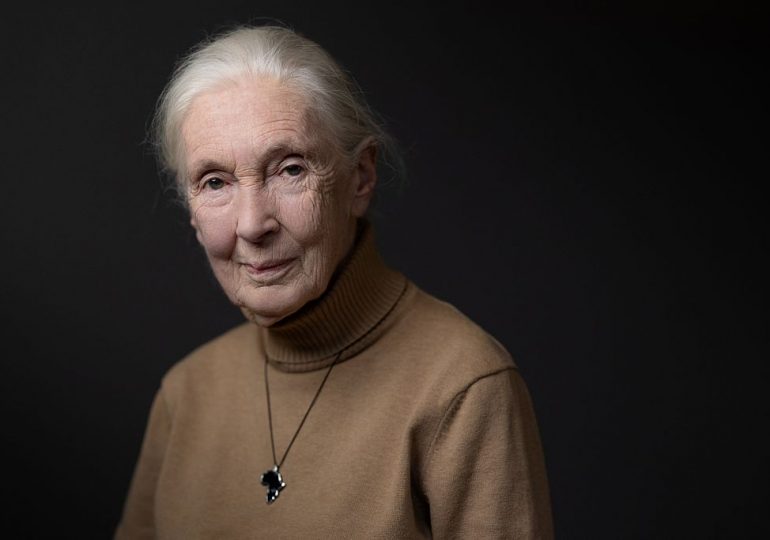 Jane Goodall’s Plea for Future Generations, in Her Own Words
