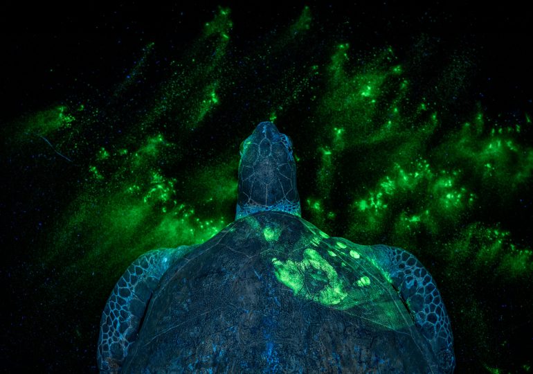 TIME’s Top 100 Photos of 2025