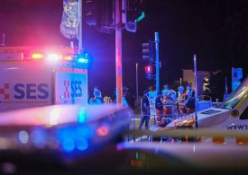 Bondi Beach Attackers Threw Undetonated Bombs and Plotted for Months, Police Say