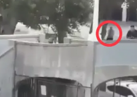 Hero cop ‘killed Bondi Beach terrorist’ with ‘once in a lifetime shot’ while moving out of cover from behind a tree