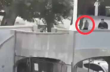 Hero cop ‘killed Bondi Beach terrorist’ with ‘once in a lifetime shot’ while moving out of cover from behind a tree