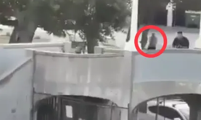 Hero cop ‘killed Bondi Beach terrorist’ with ‘once in a lifetime shot’ while moving out of cover from behind a tree