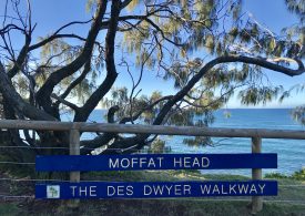 Girl, 17, plunges 100ft to her death while trying to take photo of sunset at popular lookout