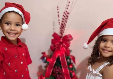 Brother and sister, four, drown in swimming pool during family Christmas party as desperate relatives screamed for help