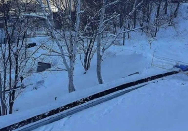 Boy, 5, dies after getting arm trapped in ski resort escalator in Japan sparking frantic 40-minute rescue