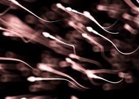 Sperm bank forces donors to take IQ tests as parents demand brainy babies