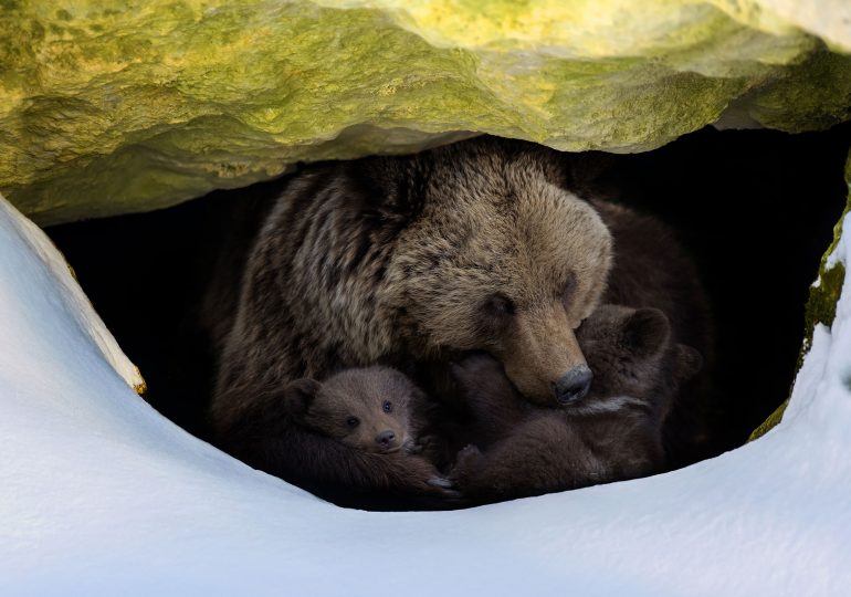 We Don’t Need New Year’s Resolutions. We Need Rest