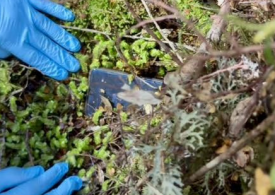 Missing backpacker’s phone found two YEARS after mystery disappearance sparking fresh search