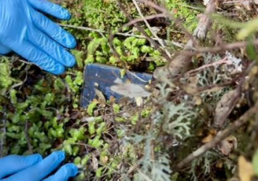 Missing backpacker’s phone found two YEARS after mystery disappearance sparking fresh search