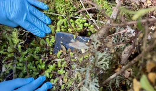 Missing backpacker’s phone found two YEARS after mystery disappearance sparking fresh search