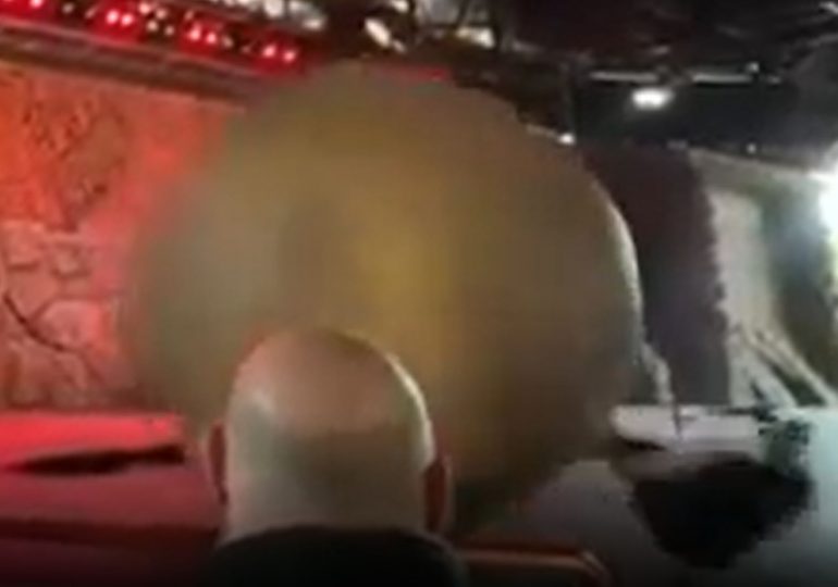 Watch runaway Indiana Jones boulder barrel off course & head straight for audience before smashing Disney World staffer