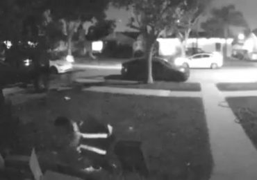 Moment delivery driver pets homeowner’s cat before picking her up and taking the moggy away