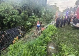 At least six killed & 20 injured as bus veers off road and plunges 30ft into ravine after ‘driver fell asleep at wheel’