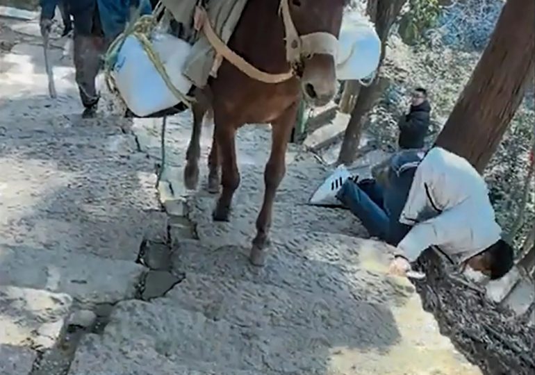 Shock moment clueless tourist staring at his phone is knocked down mountainside by mule carrying cargo up path