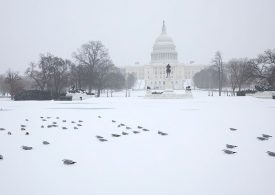 ‘Historic’ Storm Leaves 880,000 Without Power and 11,000 Flights Canceled Across U.S.