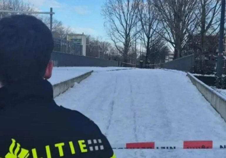 Driver ‘beaten’ to death after trying to stop snowball ambush on his car as two teens arrested – and family pays tribute