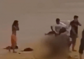 Dramatic moment shark attacks swimmer before victim hauls himself out of water in third mauling off Sydney within hours