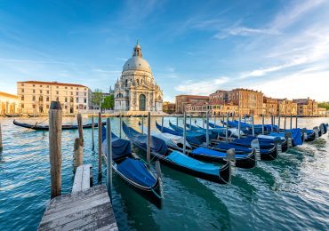 Cannibalistic jellyfish invade holiday hotspot as ‘warty comb’ creatures wreak havoc in lagoon after ‘arriving on ship’