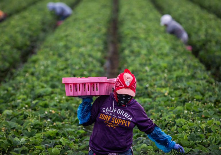 For Migrant Women, Sexual Violence Is Often the Hidden Cost of Work