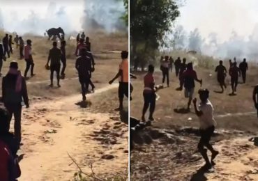 Rampaging elephant kills 22 people in 9 days as terrified villagers forced to sleep on roofs with beast still on the run