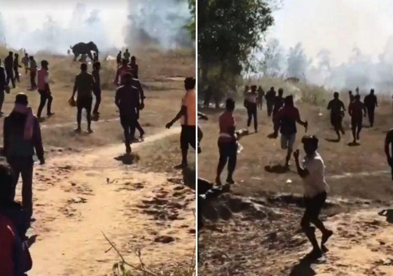 Rampaging elephant kills 22 people in 9 days as terrified villagers forced to sleep on roofs with beast still on the run
