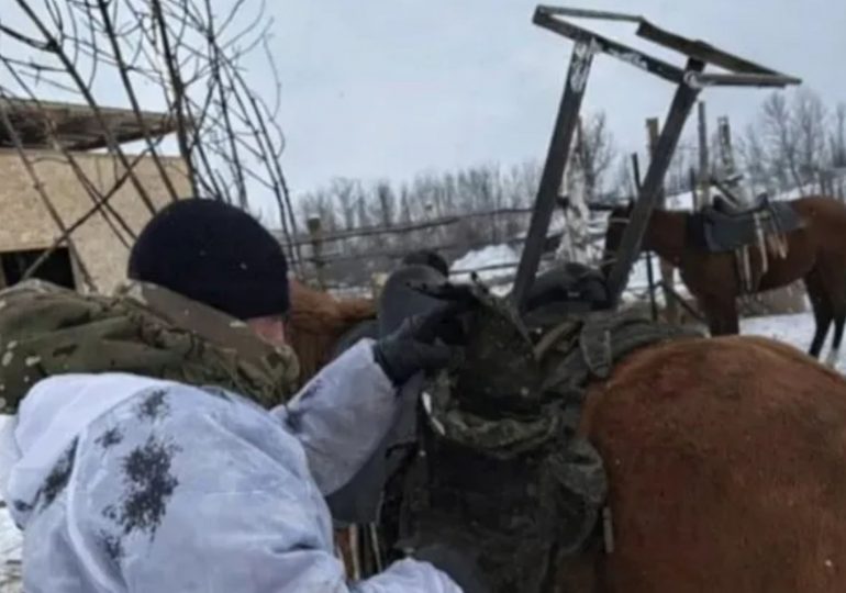 Putin deploys war horses with Starlink internet dishes mounted on their backs in latest bizarre frontline sighting