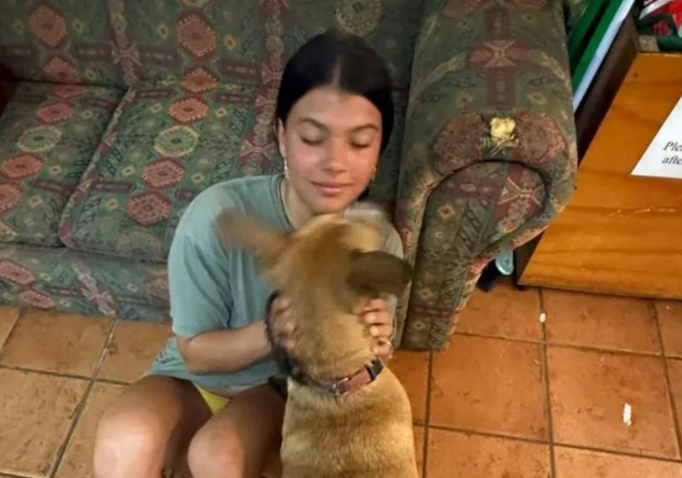 Mystery deepens over death of teen, 19, found dead surrounded by 12 dingoes on tourist island as dad fears no answers