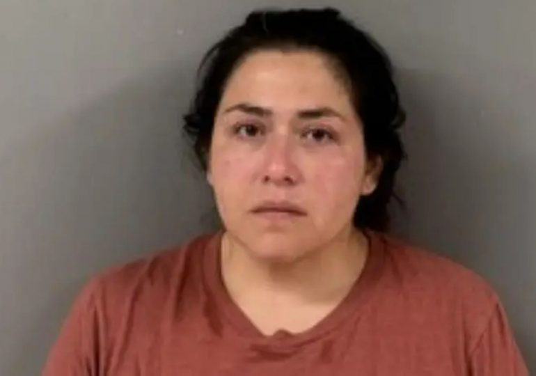 Child picks up fully loaded gun in family home and fatally shoots 2-year-old boy in the head – as mother is charged