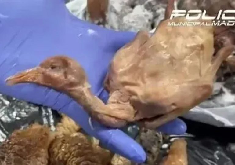 Chinese restaurant is shut down after being caught selling street PIGEON instead of duck in Brit holiday hotspot