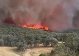 Watch giant ‘fire tornado’ on path of destruction as ‘state of disaster’ declared & three missing in Australia wildfires