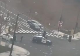 Dramatic moment carjacker who tried to steal police car is mowed down and shot dead by cops after 50-mile chase