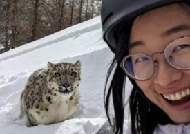 Chilling photo shows tourist’s SELFIE with snow leopard seconds before being brutally mauled & left covered in blood