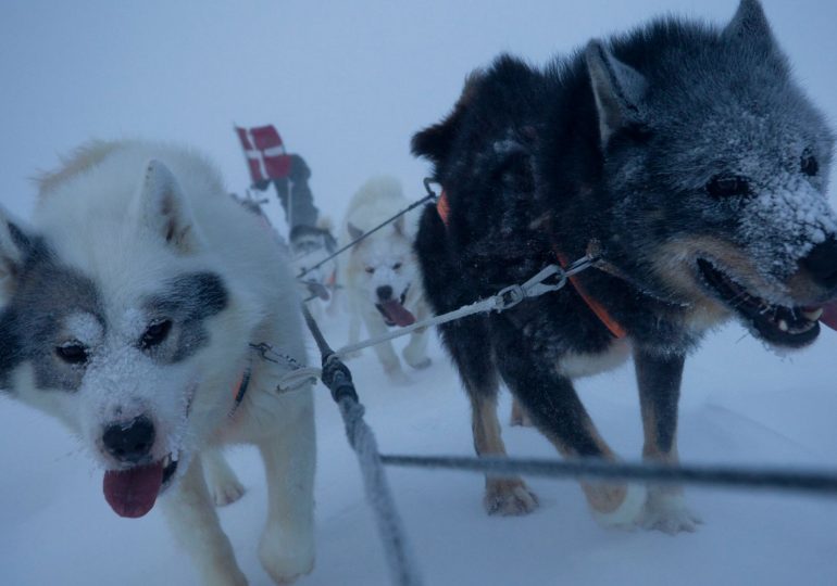 Inside Greenland’s elite ‘dog sled army’ who SHOOT polar bears & patrol in -55C in landscape where others dare not tread