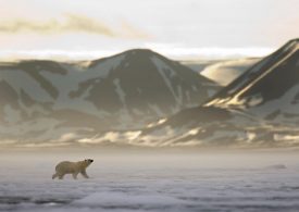 Fears in Norway Trump or Putin could come for their frozen Arctic islands next after Don won’t give up on Greenland