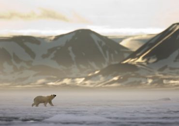 Fears in Norway Trump or Putin could come for their frozen Arctic islands next after Don won’t give up on Greenland