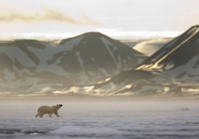 Fears in Norway Trump or Putin could come for their frozen Arctic islands next after Don won’t give up on Greenland