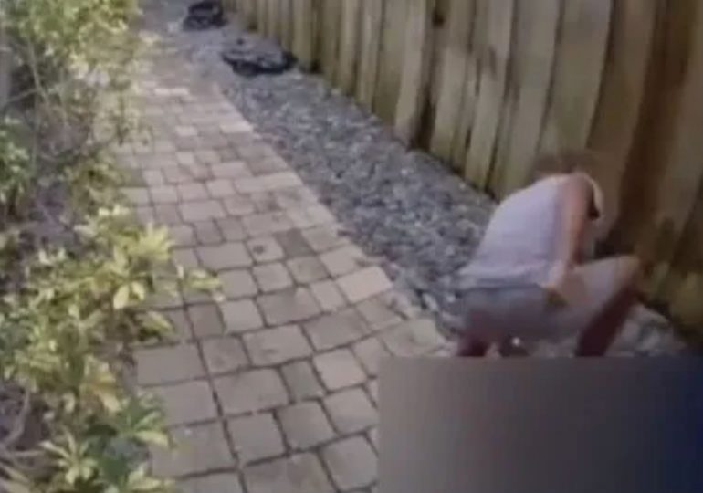 Boy brutally stomps on and kills duck in garden as cops offer $5,000 reward to find youngster