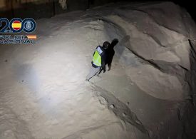 Record-breaking cocaine haul is seized at sea as 10 TONS found hidden in cargo ship off Canaries with help of UK cops