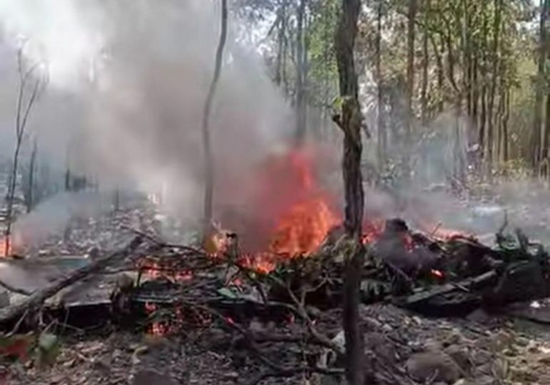 Two killed after fighter plane crashes into forest during training mission as vid shows smouldering wreckage