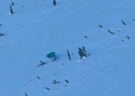 Dramatic moment paraglider smashes into a tree as he recklessly dashes down ski slope in an illegal wingsuit