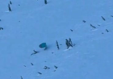 Dramatic moment paraglider smashes into a tree as he recklessly dashes down ski slope in an illegal wingsuit