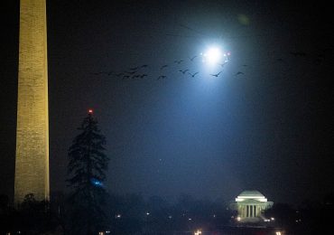 U.S. Reportedly Sends Asylum Seekers to Cameroon in Secret